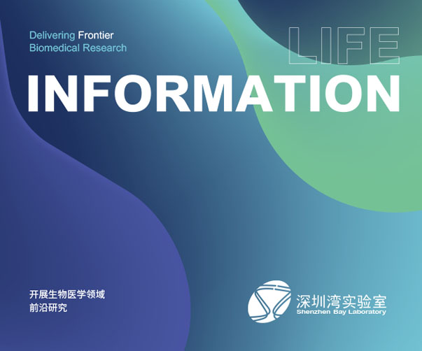 炸雞翅包裝設(shè)計(jì)