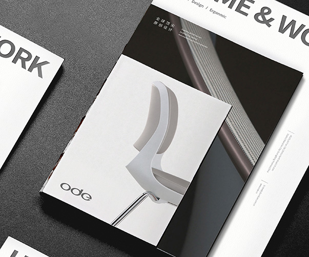 紅燒獅子頭包裝設(shè)計(jì)